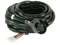 AEM Wiring Harnesses