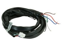 AEM Wiring Harnesses
