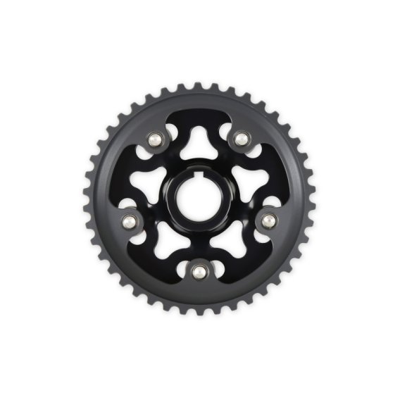 AEM Cam Gears