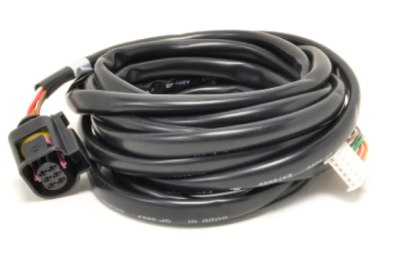AEM Wiring Harnesses