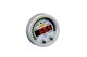 AEM Digital Gauges