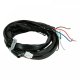AEM Wiring Harnesses