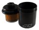 AEM Fuel Filters
