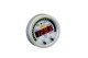 AEM Digital Gauges