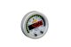 AEM Digital Gauges