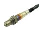 AEM Wideband Sensors