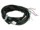 AEM Wiring Harnesses