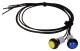 AEM Wiring Harnesses